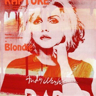 Blondie Orange - Photo Art on Plexiglass Blondie Orange - Photo Art on Plexiglass