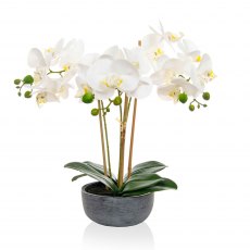 Artificial Phalaenopsis Real Touch White Orchid In Pot