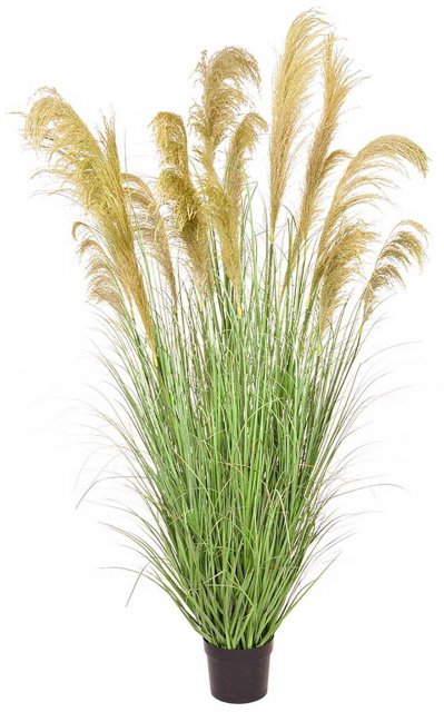 Grass Reed in Pot Potted Artificial Plant - 182cm Tall