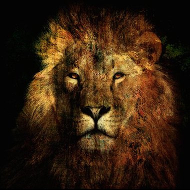 Nature & Wildlife