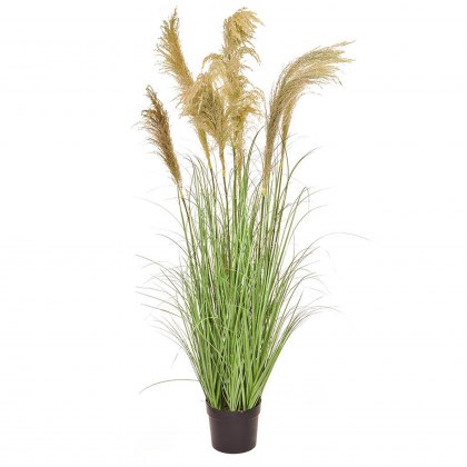 Grass Reed in Pot Potted Artificial Plant - 170cm Tall
