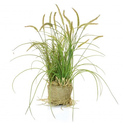 Dogtail Grass (Green) Artificial Plant in Sand - 58cm Tall