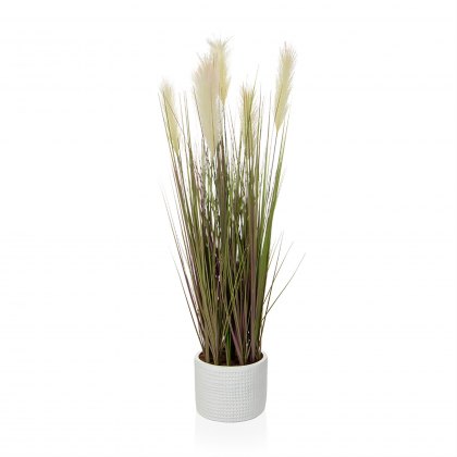 Dogtail Grass (Cream) Potted Artificial Plant - 90cm Tall