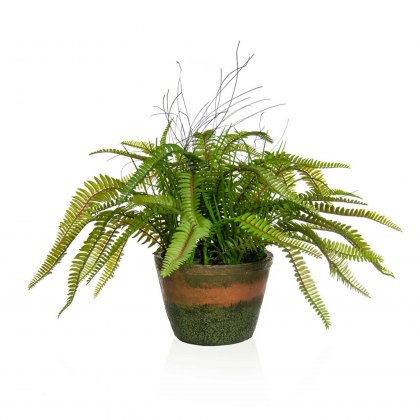 Artificial Fern in a Vintage Faux Terracotta Pot