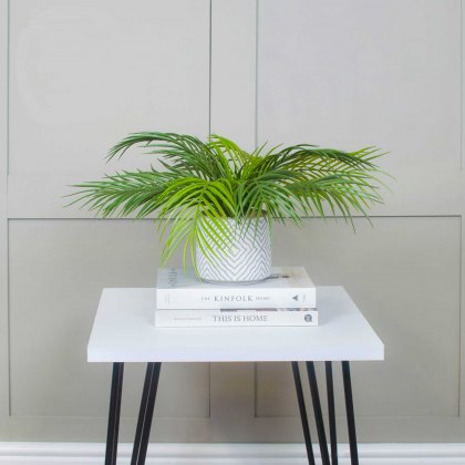 Artificial Fern in a Contemporary Pot