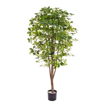 Schefflera Artificial Potted Tree - 180cm Tall