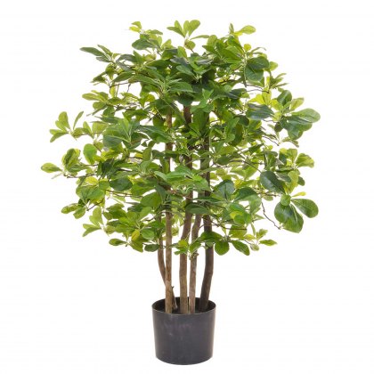 Schefflera Artificial Potted Shrub - 90cm Tall