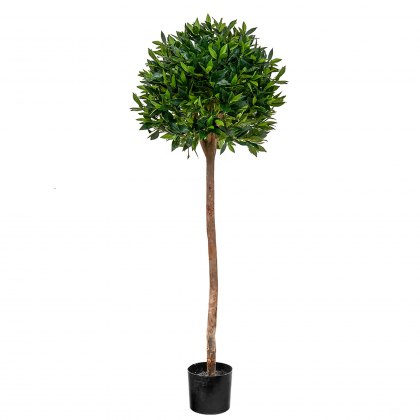 Bay Laurel Ball Artificial Potted Tree - 135cm Tall
