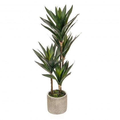 Yucca Mini in Grey Pot 65cm