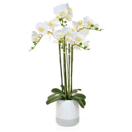 Artificial Phalaenopsis Real Touch Tall Orchid In Pot