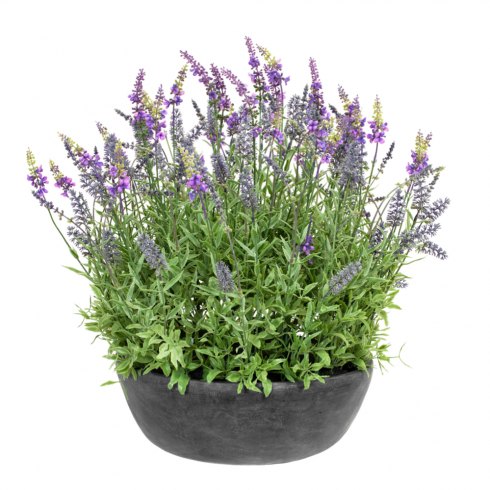 Artificial Lavender Plant In Slate Grey Bowl 60cm