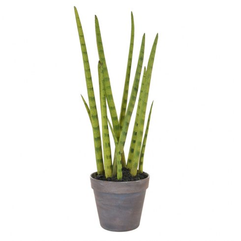 Artificial Sansevieria Plant with Brown Pot