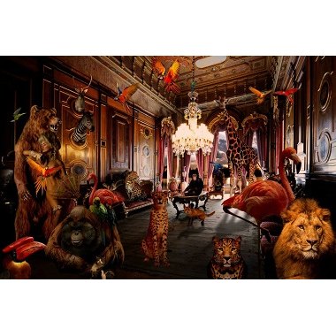 Animal Kingdom - Photo Art on Plexiglass