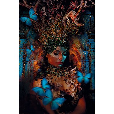 Butterfly Temple - Photo Art on Plexiglass