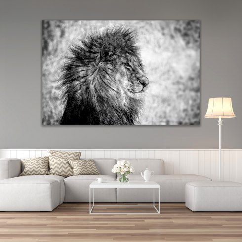 Lion King - Photo Art on Plexiglass