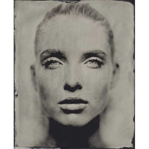 Gazing Still - Photo Art on Plexiglass