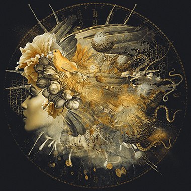 Golden Erato - Photo Art on Plexiglass