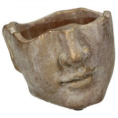 Julius Small Face Planter