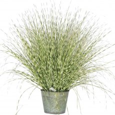 Zebra Grass Potted Artificial Plant - 114cm Tall