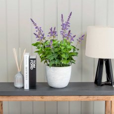 Artificial Lavender Plant In a Grey-Washed Pot