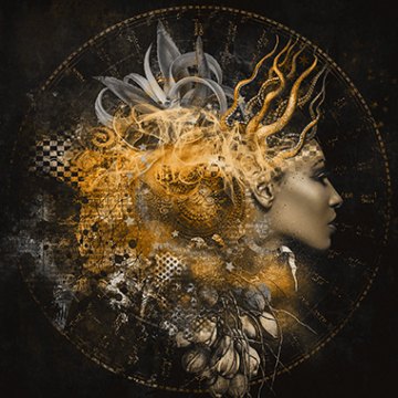 Golden Muse - Photo Art on Plexiglass