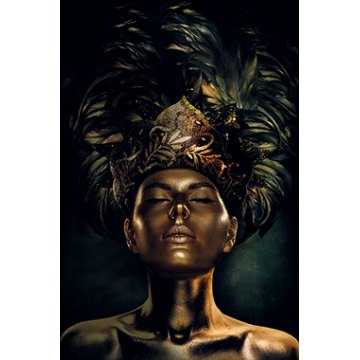 Queen of the Night - Photo Art on Framed Plexiglass - Gold Frame