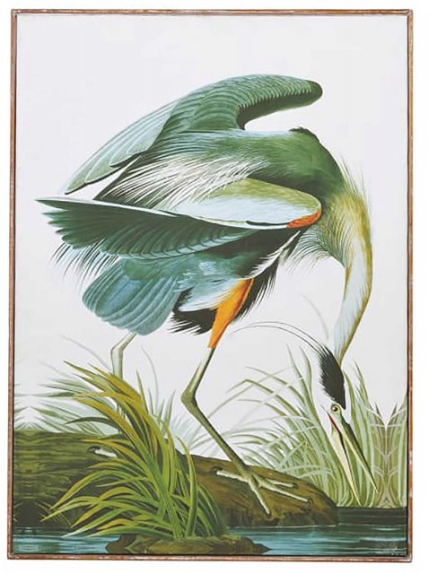 'The Patient Hunter' Framed Canvas Picture