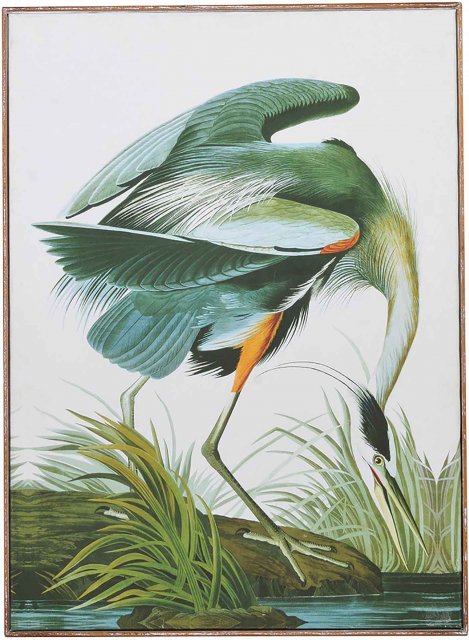 Green Tropical Crane Canvas Picture