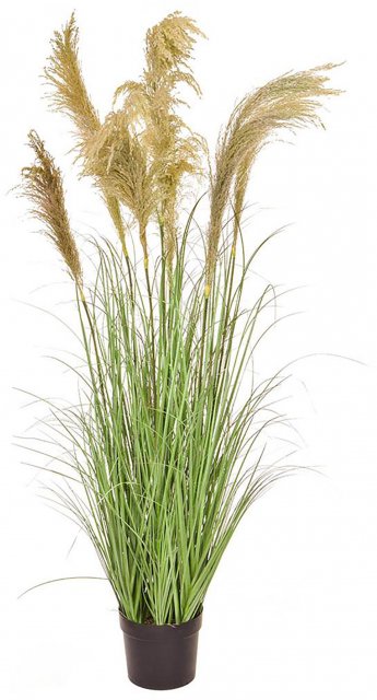 Grass Reed in Pot Potted Artificial Plant - 170cm Tall