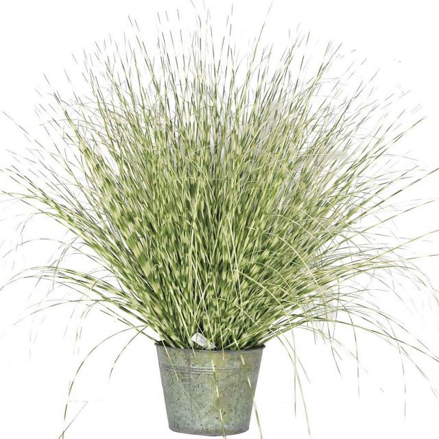 Zebra Grass Potted Artificial Plant - 114cm Tall