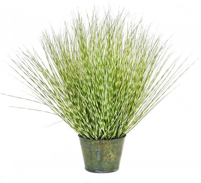 Zebra Grass Potted Artificial Plant - 86cm Tall