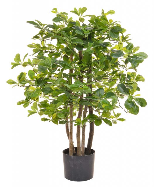 Schefflera Artificial Potted Shrub - 90cm Tall