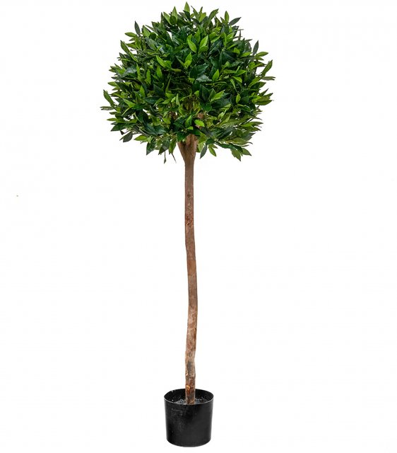 Bay Laurel Ball Artificial Potted Tree - 135cm Tall