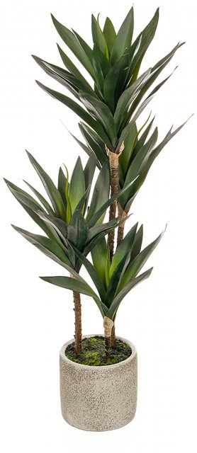 Yucca Mini in Grey Pot 65cm