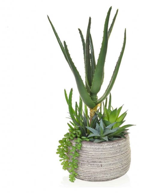Artificial Cactus & Succulent Plants In Rustic Pot