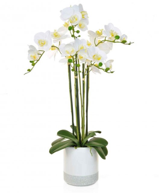 Artificial Phalaenopsis Real Touch Tall Orchid In Pot