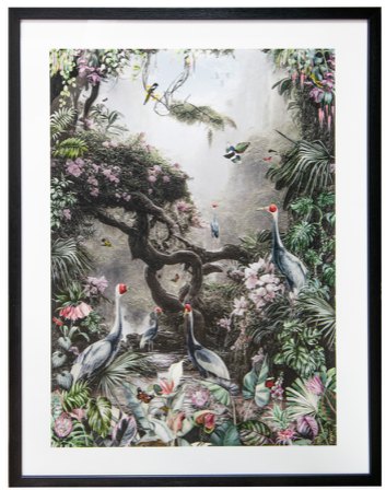 Beauty of Nature Canvas