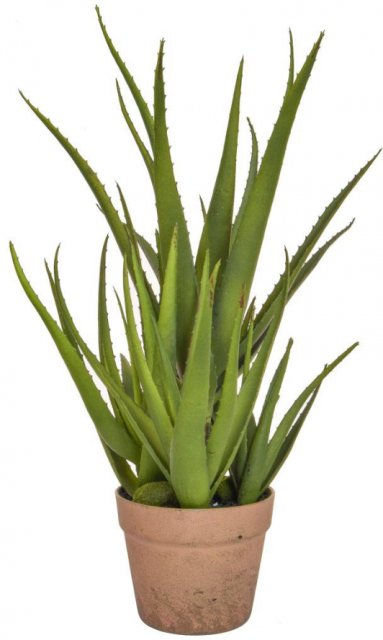Artificial Aloe Plant In Clay Pot
