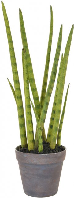Artificial Sansevieria Plant with Brown Pot
