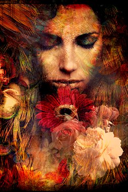 Summer Wind - Photo Art on Plexiglass