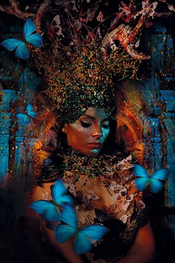 Butterfly Temple - Photo Art on Plexiglass