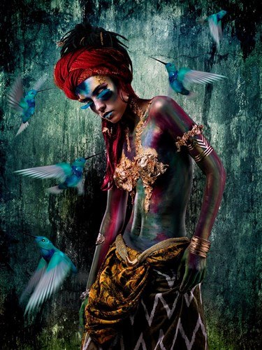 Cobra Art Kolibri - Photo Art on Plexiglass