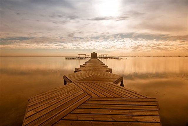 Cobra Art Muella de Santiago de La Riberra - Photo Art on Plexiglass