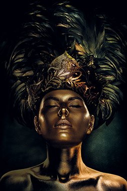 Cobra Art Queen of the Night - Photo Art on Framed Dibond - Gold Frame