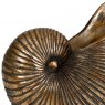 Nautilus Planter in Gold Finish