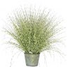 Zebra Grass Potted Artificial Plant - 50cm Tall