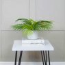 Artificial Fern in a Contemporary Pot