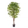 Schefflera Artificial Potted Tree - 180cm Tall