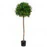 Bay Laurel Ball Artificial Potted Tree - 135cm Tall