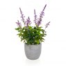 Lavender Artificial Plant in a Grey-Washed Pot